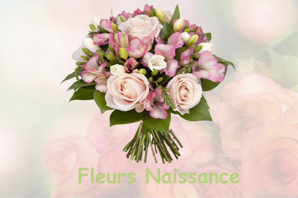 fleurs naissance MIRAMONT-DE-COMMINGES