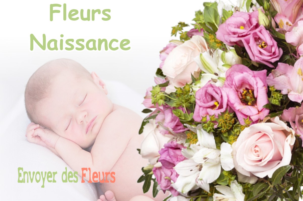 lIVRAISON FLEURS NAISSANCE à MIRAMONT-DE-COMMINGES